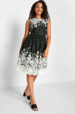 M&Co Womens M&Co Black Lace Border Midi Dress