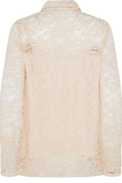 M&Co Womens M&Co Nude Pink Lace Shirt